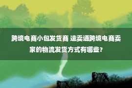 跨境电商小包发货商 速卖通跨境电商卖家的物流发货方式有哪些？