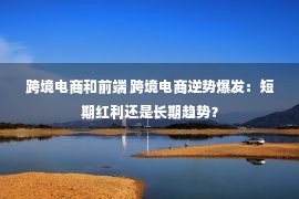 跨境电商和前端 跨境电商逆势爆发：短期红利还是长期趋势？