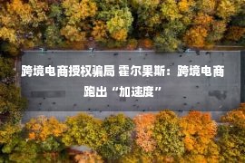 跨境电商授权骗局 霍尔果斯：跨境电商跑出“加速度”