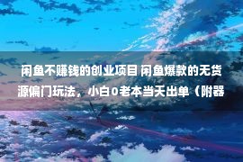 闲鱼不赚钱的创业项目 闲鱼爆款的无货源偏门玩法，小白0老本当天出单（附器械）