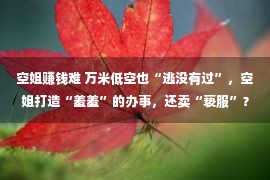 空姐赚钱难 万米低空也“逃没有过”，空姐打造“羞羞”的办事，还卖“亵服”？