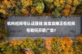 机构视频号认证赚钱 珠宝直播正在视频号若何开明广告？