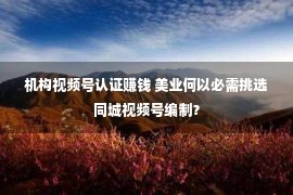 机构视频号认证赚钱 美业何以必需挑选同城视频号编制？