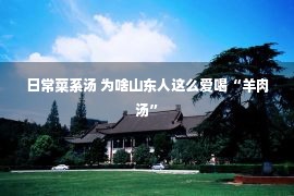 日常菜系汤 为啥山东人这么爱喝“羊肉汤”