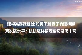 建构类游戏经验 如何了解孩子的建构游戏发展水平？试试这样做观察记录吧｜观察记录获奖案例