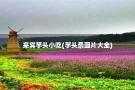 来宾芋头小吃(芋头条图片大全)