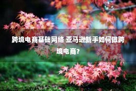 跨境电商基础网络 亚马逊新手如何做跨境电商？