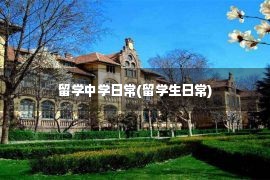 留学中学日常(留学生日常)