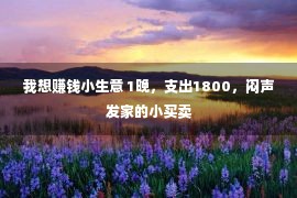 我想赚钱小生意 1晚，支出1800，闷声发家的小买卖