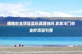 摆摊创业项目卖玩具赚钱吗 发家冷门创业好项目引荐