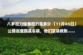 八岁视力储备视力是多少 【11月05日】公路巡查路遇车祸，他们紧急救助......