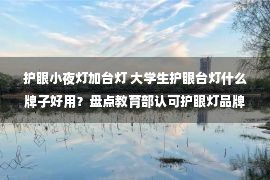 护眼小夜灯加台灯 大学生护眼台灯什么牌子好用？盘点教育部认可护眼灯品牌