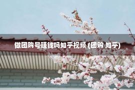 做团购号赚钱吗知乎视频 (团购 知乎)