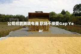 公司招聘跨境电商 职场不接受Gap Year