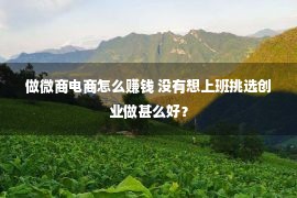 做微商电商怎么赚钱 没有想上班挑选创业做甚么好？