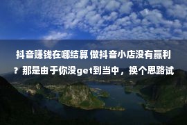 抖音赚钱在哪结算 做抖音小店没有赢利？那是由于你没get到当中，换个思路试试看