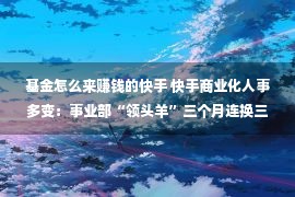 基金怎么来赚钱的快手 快手商业化人事多变：事业部“领头羊”三个月连换三人 现由王剑伟接管