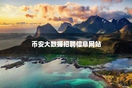 币安大数据招聘信息网站