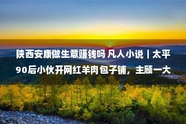 陕西安康做生意赚钱吗 凡人小说｜太平90后小伙开网红羊肉包子铺，主顾一大早结束列队