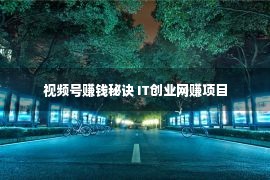 视频号赚钱秘诀 IT创业网赚项目