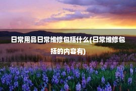 日常用品日常维修包括什么(日常维修包括的内容有)