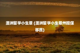 澳洲留学小生意 (澳洲留学小生意州担保移民)