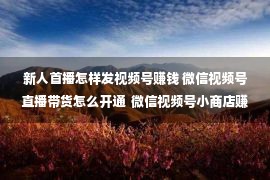 新人首播怎样发视频号赚钱 微信视频号直播带货怎么开通  微信视频号小商店赚钱解析