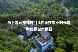 当下零元赚钱窍门 5种正在专业时光赢利的零老本项目