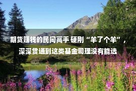 期货赚钱的民间高手 硬刚“羊了个羊”，深深贯通到这类基金司理没有能选