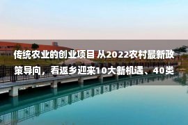 传统农业的创业项目 从2022农村最新政策导向，看返乡迎来10大新机遇、40类创业项目