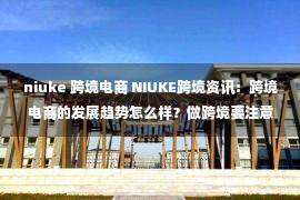 niuke 跨境电商 NIUKE跨境资讯：跨境电商的发展趋势怎么样？做跨境要注意什么