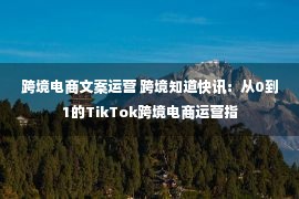 跨境电商文案运营 跨境知道快讯：从0到1的TikTok跨境电商运营指