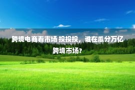 跨境电商看市场 投投投，谁在瓜分万亿跨境市场？