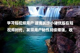 学习短视频用户 湖南长沙小猪优版在短视频时代，发现用户粘性持续增强，收益可观