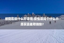 榆阳区做什么好赚钱:疫情期间干什么小原买卖差赔钱快？