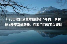 厂门口做什么生意最赚钱:5年内，乡村这4种买卖最赔钱，在家门口就可以谋划，比击工弱！