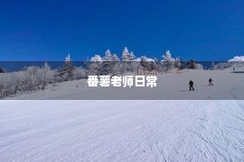 番薯老师日常