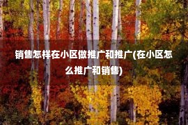 销售怎样在小区做推广和推广(在小区怎么推广和销售)