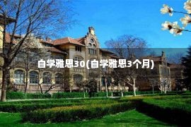 自学雅思30(自学雅思3个月)