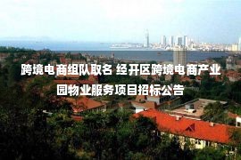 跨境电商组队取名 经开区跨境电商产业园物业服务项目招标公告