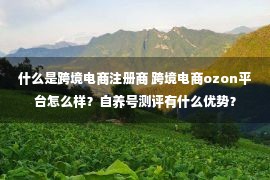 什么是跨境电商注册商 跨境电商ozon平台怎么样？自养号测评有什么优势？