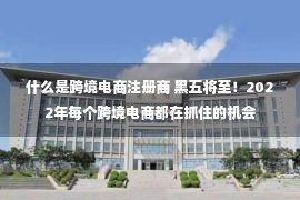 什么是跨境电商注册商 黑五将至！2022年每个跨境电商都在抓住的机会