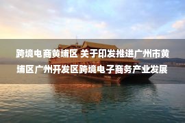 跨境电商黄埔区 关于印发推进广州市黄埔区广州开发区跨境电子商务产业发展实施意见细则的通知