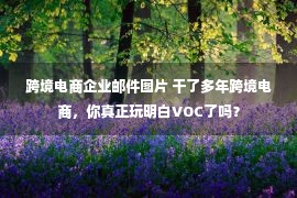 跨境电商企业邮件图片 干了多年跨境电商，你真正玩明白VOC了吗？