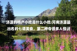 济源的特产小吃是什么小吃:河南济源最出名的七道美食，第二种令很多人惊讶，这竟然都能吃