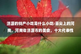 济源的特产小吃是什么小吃:舌尖上的河南，河南省济源市的美食，十大代表性名小吃有哪些？