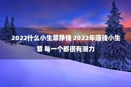 2022什么小生意挣钱 2022年赚钱小生意 每一个都很有潜力