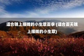 适合晚上摆摊的小生意夏季 (适合夏天晚上摆摊的小生意)