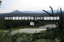 2021新赚钱项目平台 (2021最新赚钱项目)