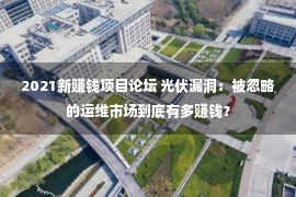 2021新赚钱项目论坛 光伏漏洞：被忽略的运维市场到底有多赚钱？